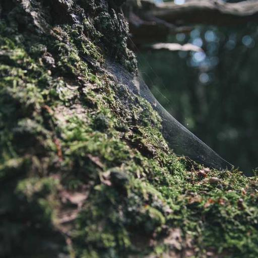 Mencicipi Makanan Legendaris dari Penjual Kaki Lima