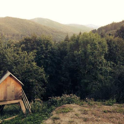 Mesin yang Belajar Masa Depan Dunia Robotika Modern